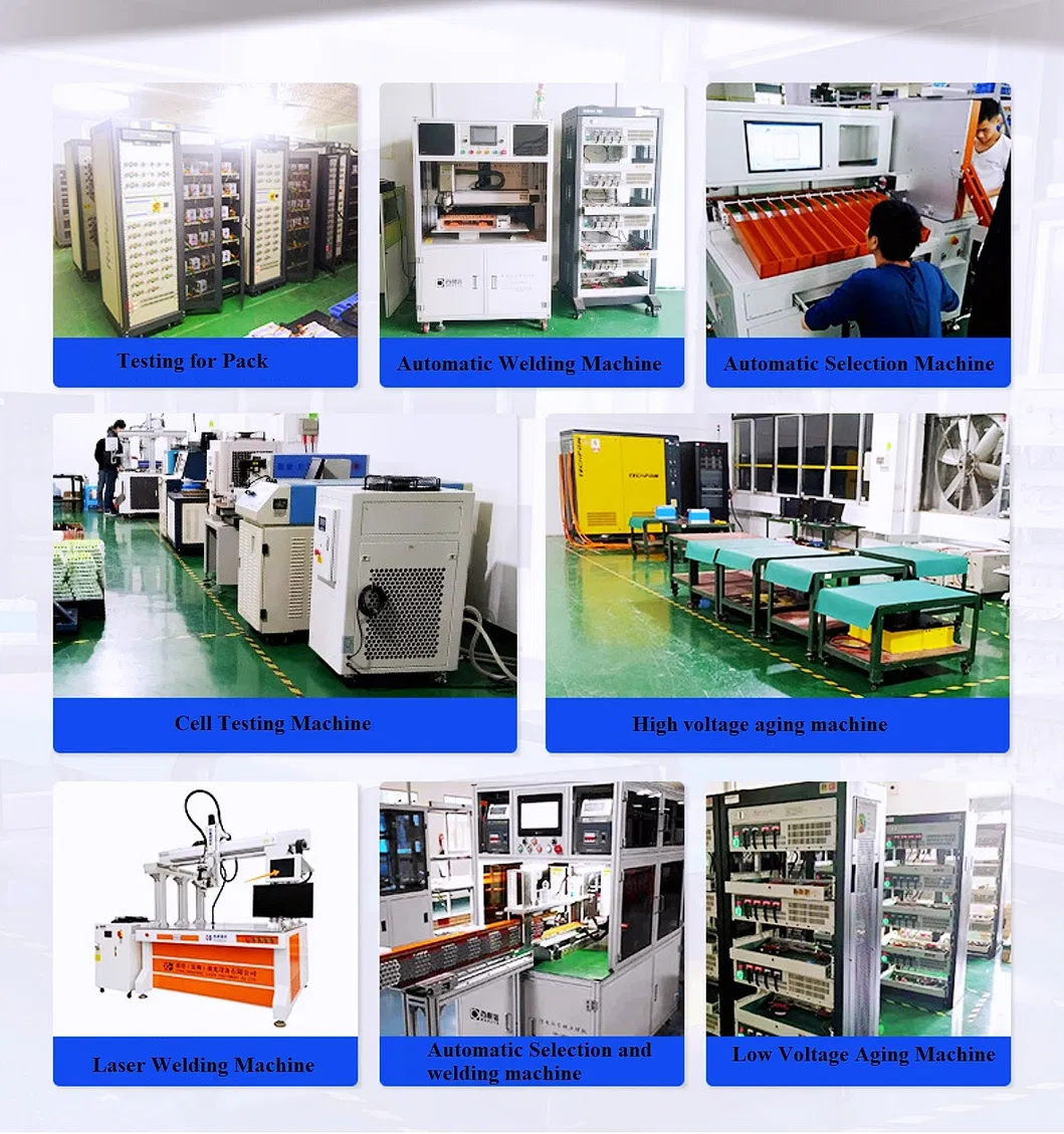 Lithium Iron Phosphate Battery Factory Price Customized LiFePO4 Battery 12V 6ah