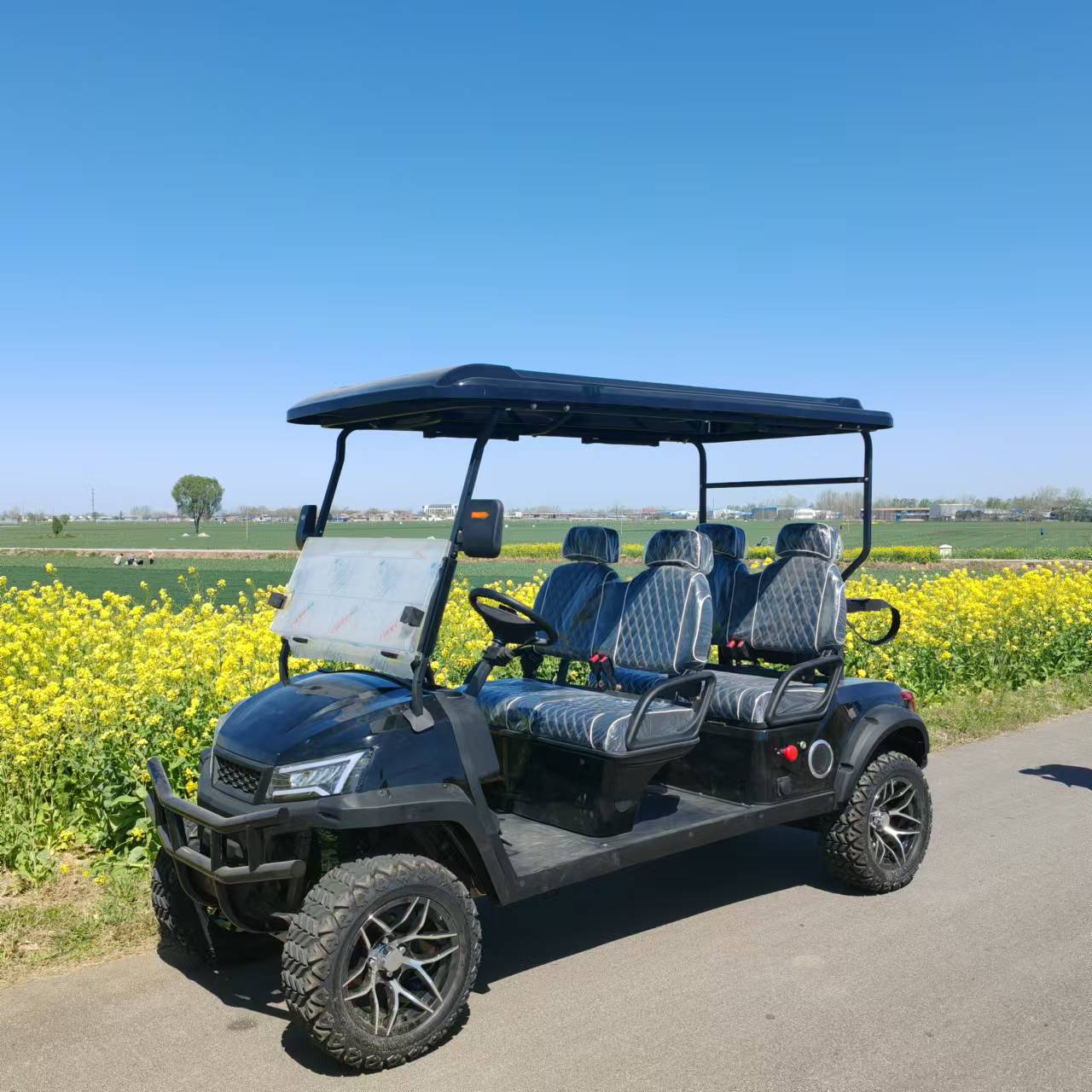 Golf Cart Back View
