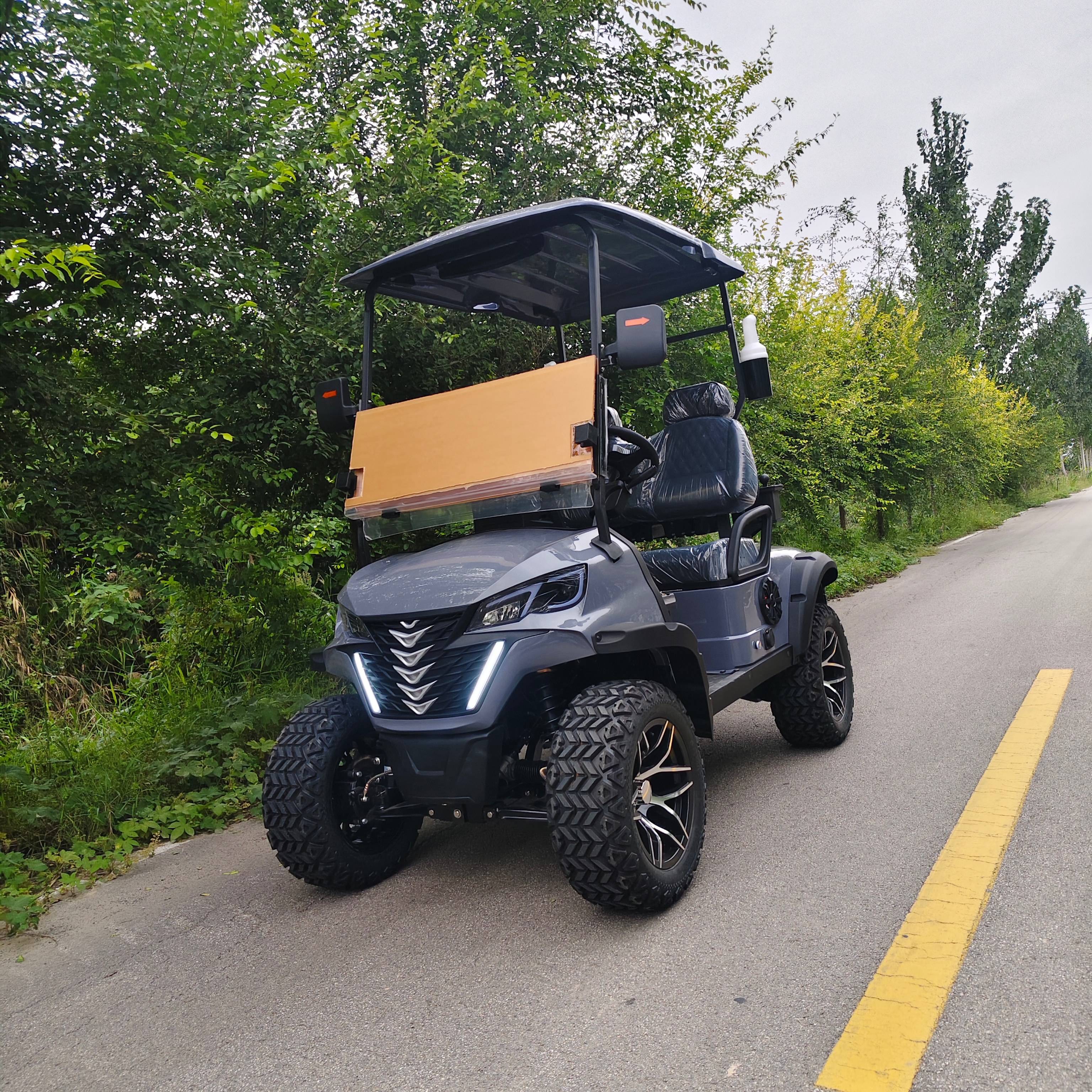 Hot Selling Golf Cart High Quality 2-Seater 72 Volt Battery Electric 5KW Dot Certified Club Car Electric Golf Cart