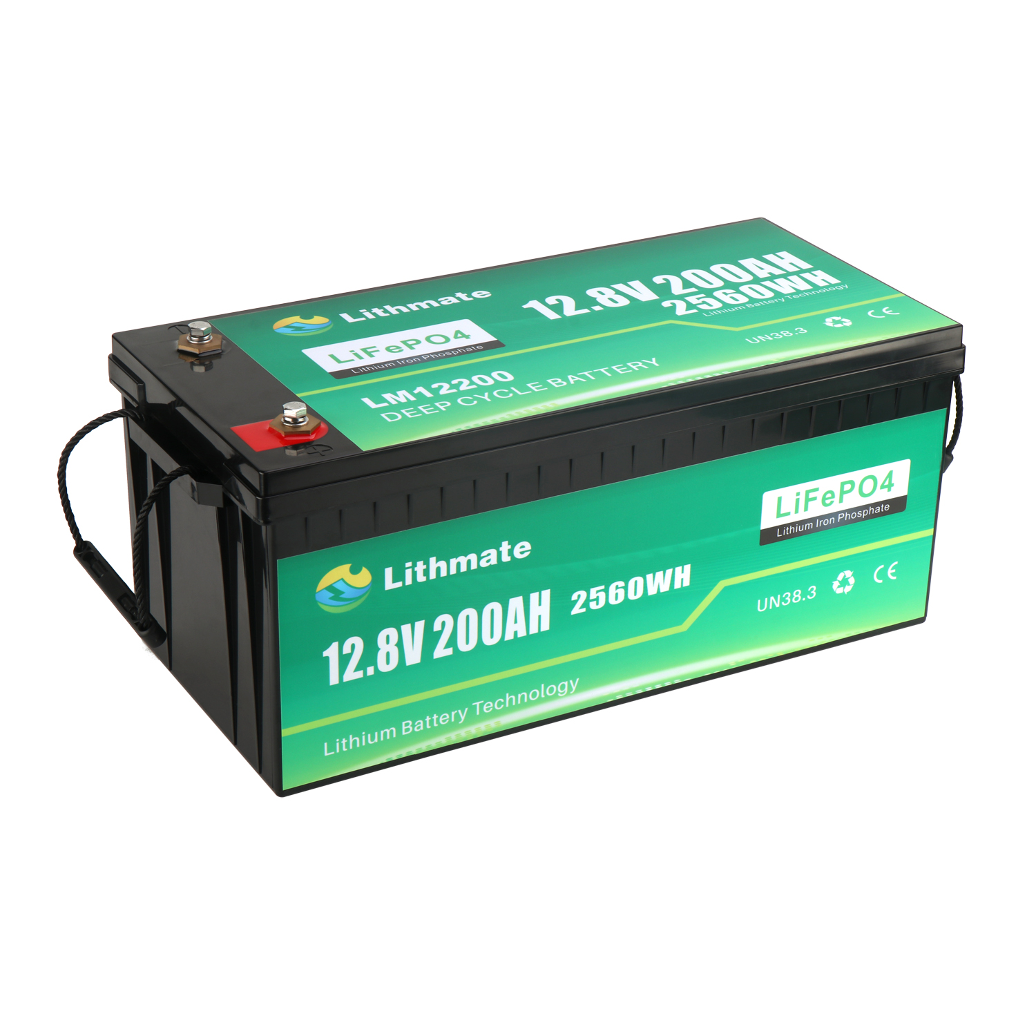 Lithium RV Batteries 12 Volt Lifepo 4 Battery Pack 200ah