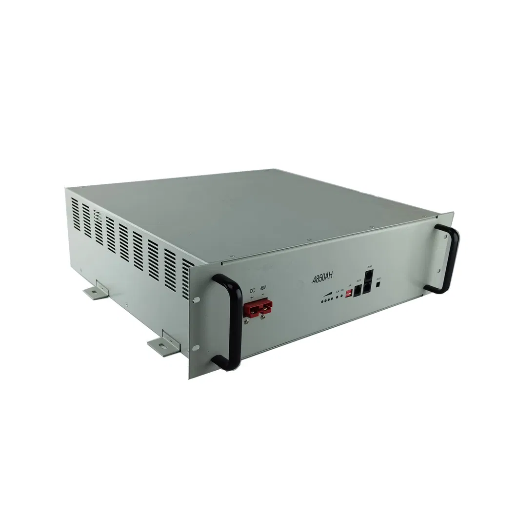 LiFePO4 Battery Module