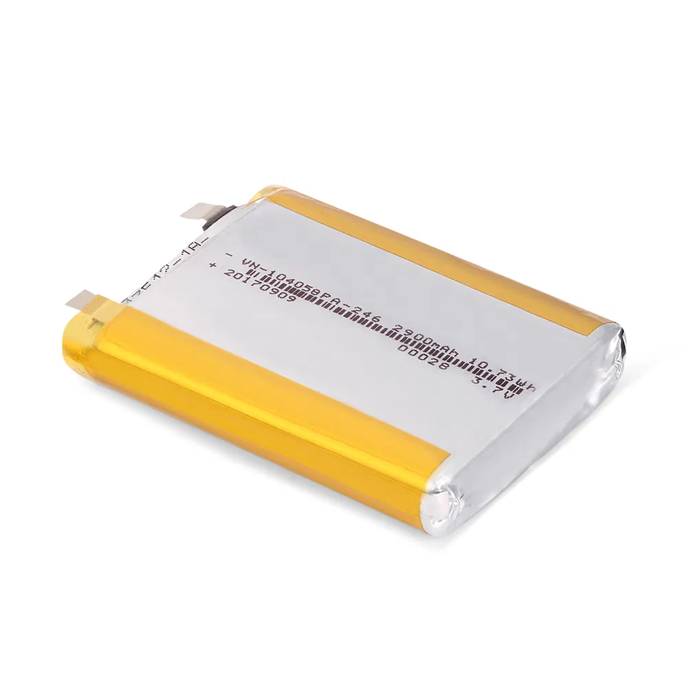 Lithium Polymer Battery 1