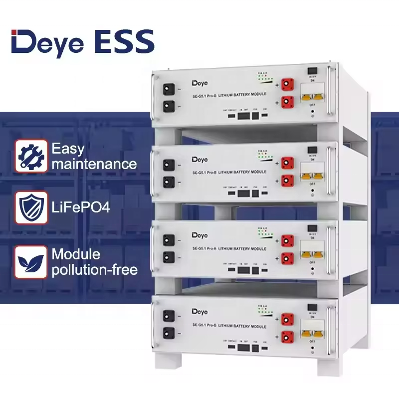 Deye Lifepo4 Battery 48v 51.2v 100ah 200ah Lithium 5.12kwh 10kwh Rack Lithium Ion Battery Deye SE-G5.1 Pro-B