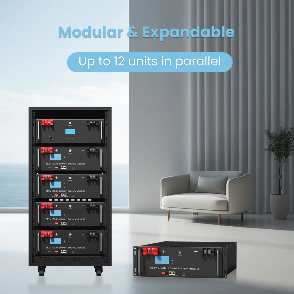 Litharv Rack Mounted 51.2V 200Ah 10.24KWh Lithium Ion LiFePO4 Battery for Residential Energy Storage System