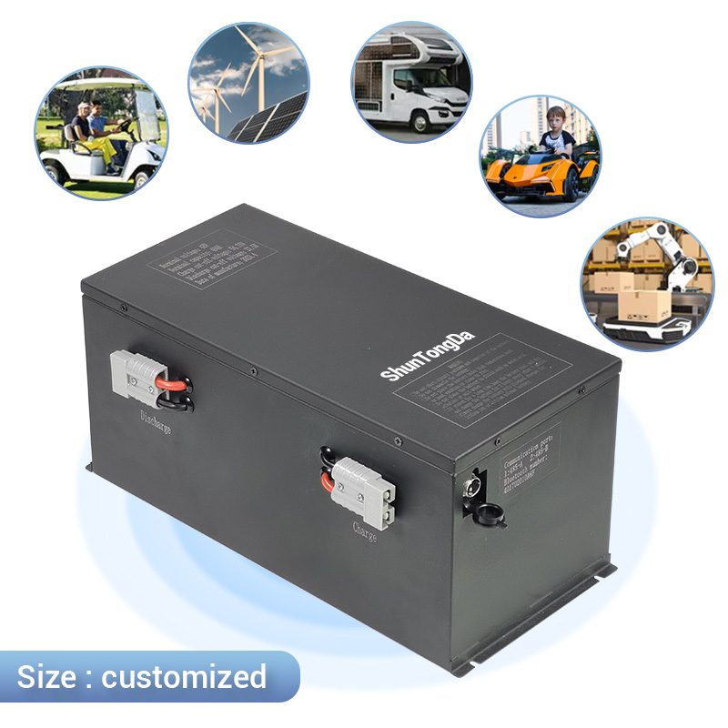 Customized 48v 60v 72v 40Ah 100Ah 200Ah Electric Moped Tricycle Lithium Battery 48Volt Electric Rickshaw Car Battery
