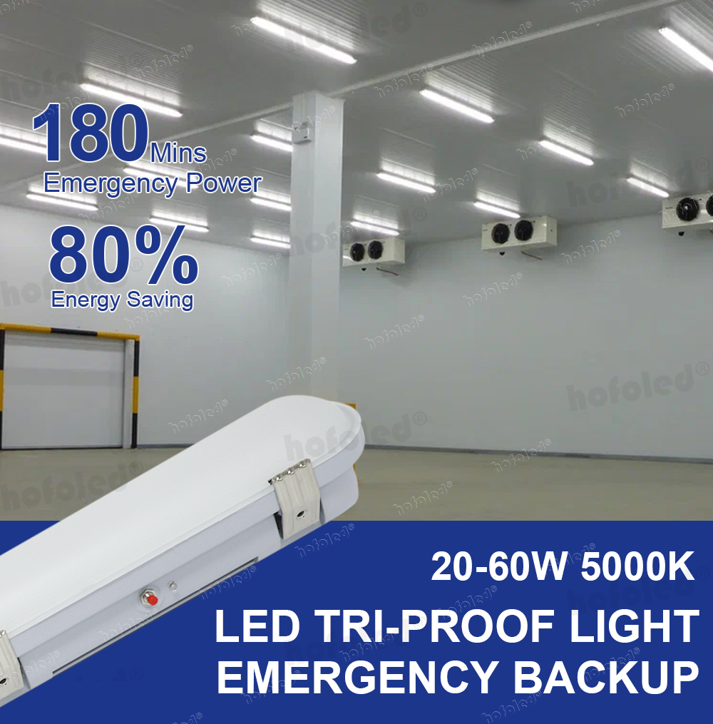 Duration 3Hrs/Maintained/ Self Test/ LiFePO4/ EN 60598-2-22 IP66 Battery Backup Tri-proof Light Emergency Light For UK DE Market