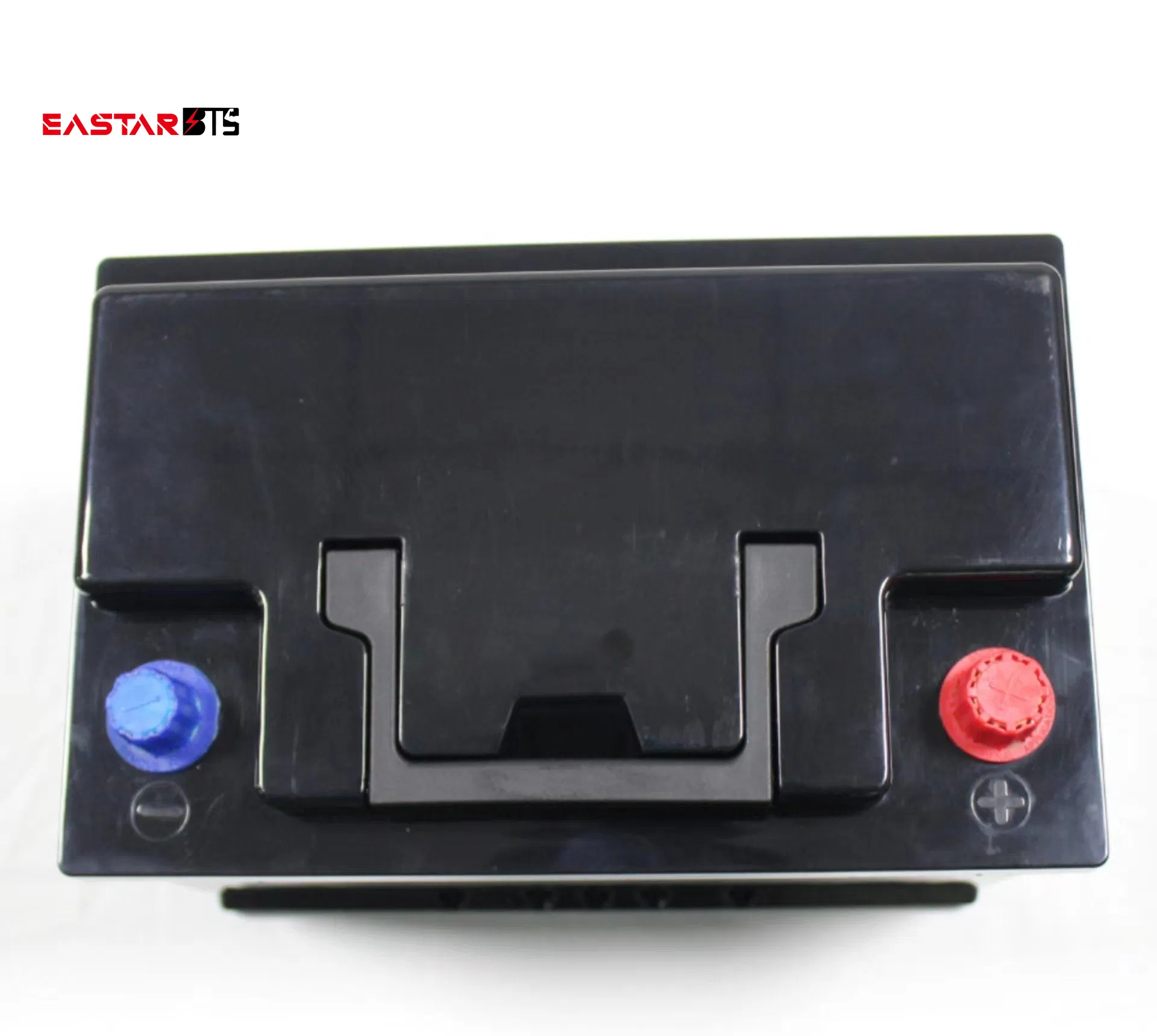Lithium Iron Phosphate Battery Factory Price Customized LiFePO4 Battery 12V 6ah
