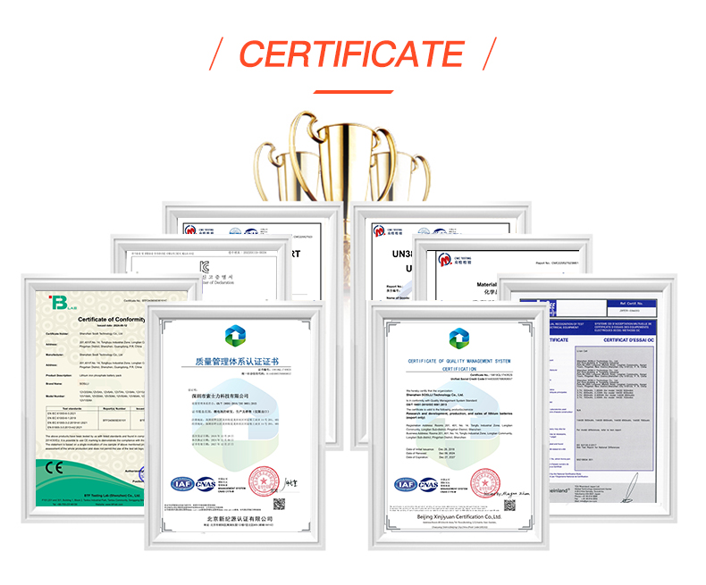 LiFePO4 Battery Certification Board