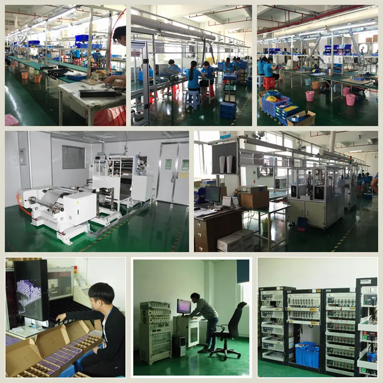 Lithium Iron Phosphate Battery Details