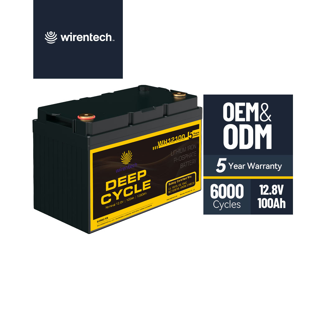 12v 24v 100ah 200ah 300ah Smart BMS Lifepo4 Rechargeable Solar Battery Camping Car RV Battery Lithium Ion