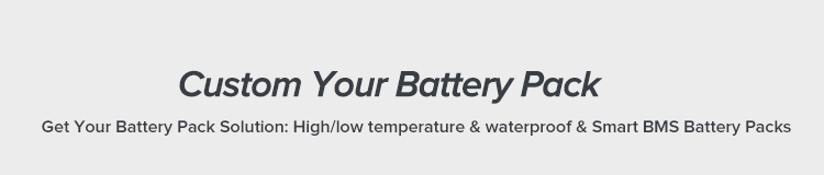 Custom Case Battery Pack 14