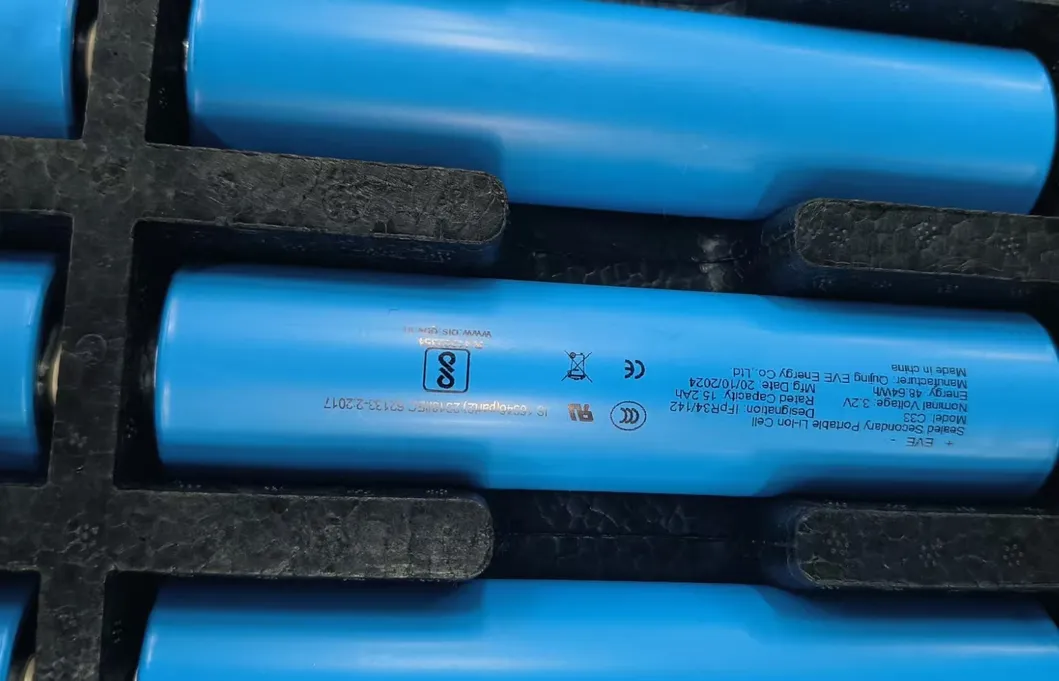 LiFePO4 Battery