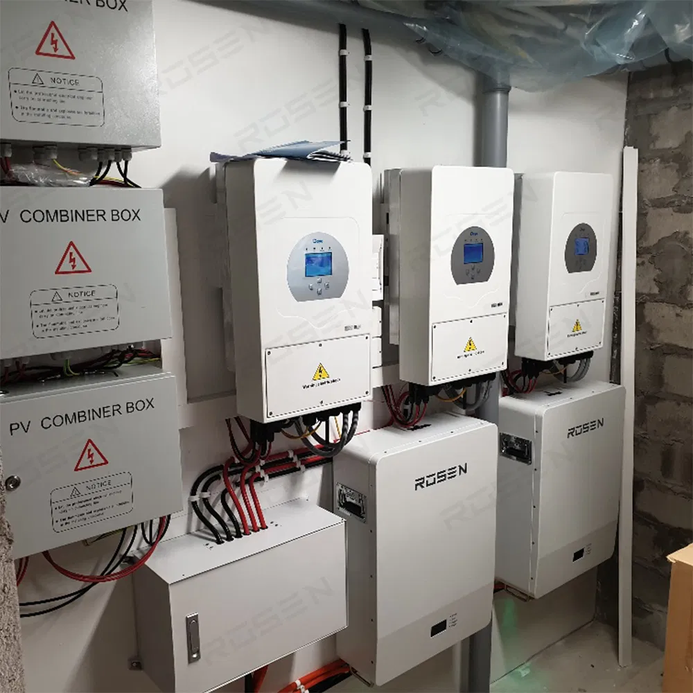 Lithium-Ion Battery Home LiFePO4 Battery BMS 48V 300ah 200ah