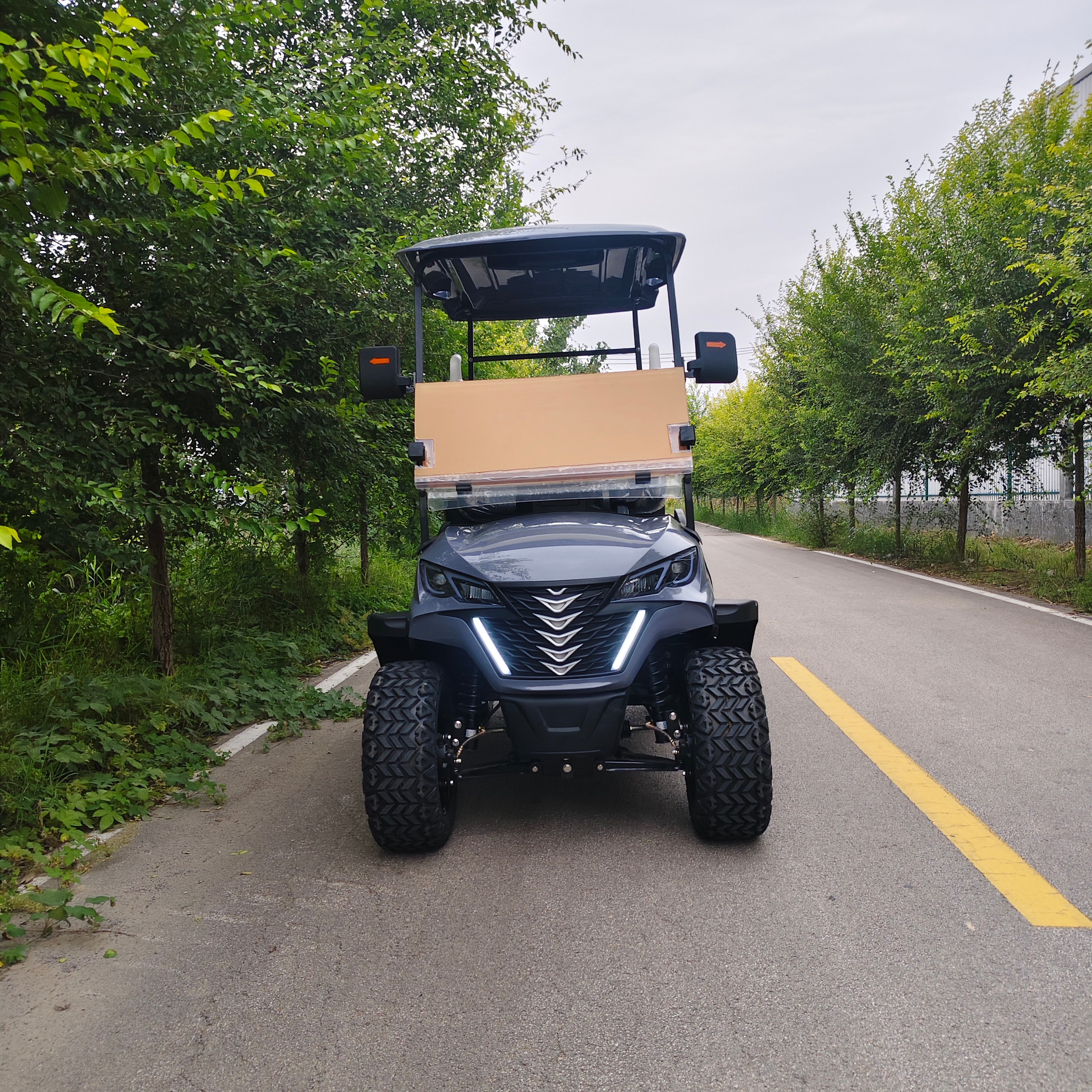 Hot Selling Golf Cart High Quality 2-Seater 72 Volt Battery Electric 5KW Dot Certified Club Car Electric Golf Cart