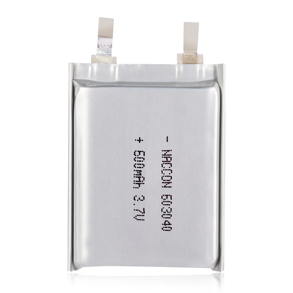 Lithium Polymer Battery 4