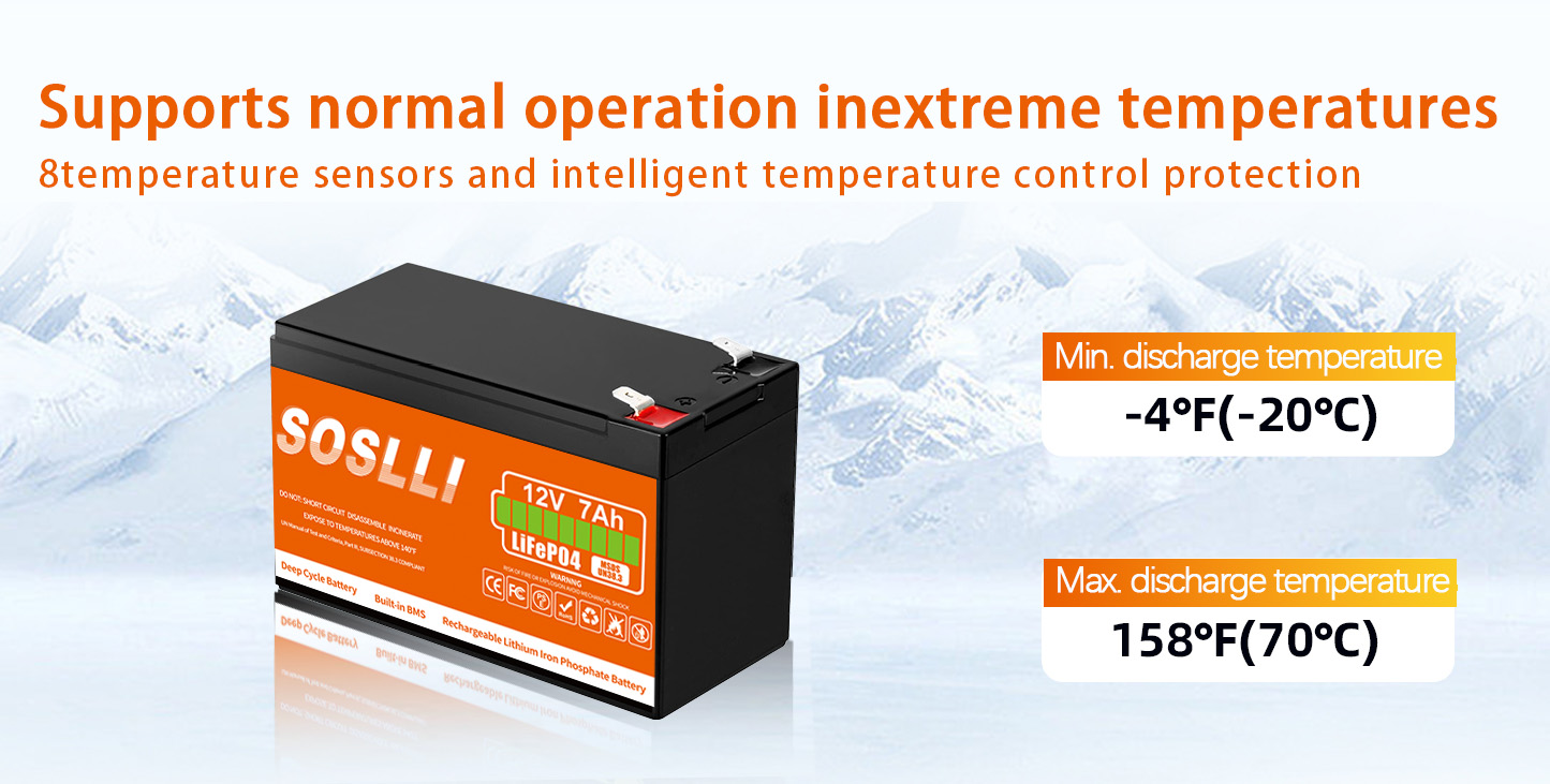 LiFePO4 Battery Feature 3