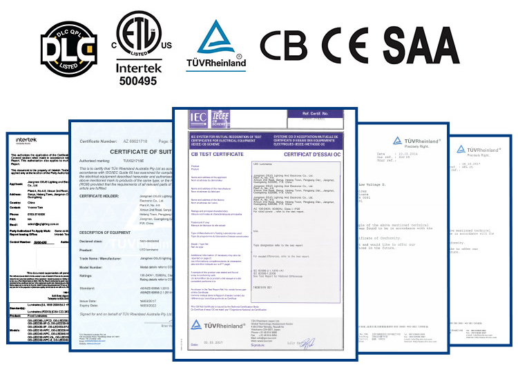Professional Certification Documents