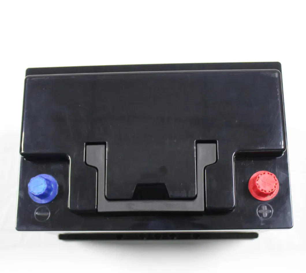 Lithium Iron Phosphate Battery Factory Price Customized LiFePO4 Battery 12V 6ah