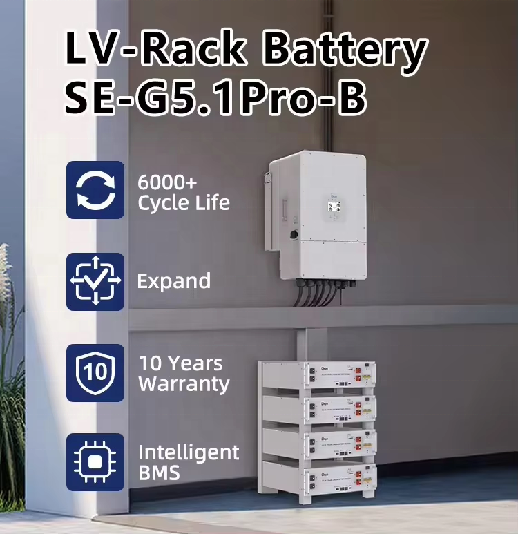 Deye Lifepo4 Battery 48v 51.2v 100ah 200ah Lithium 5.12kwh 10kwh Rack Lithium Ion Battery Deye SE-G5.1 Pro-B
