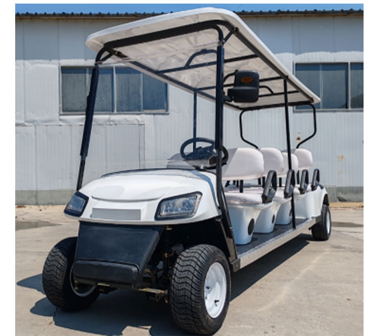 Golf Cart Display 1