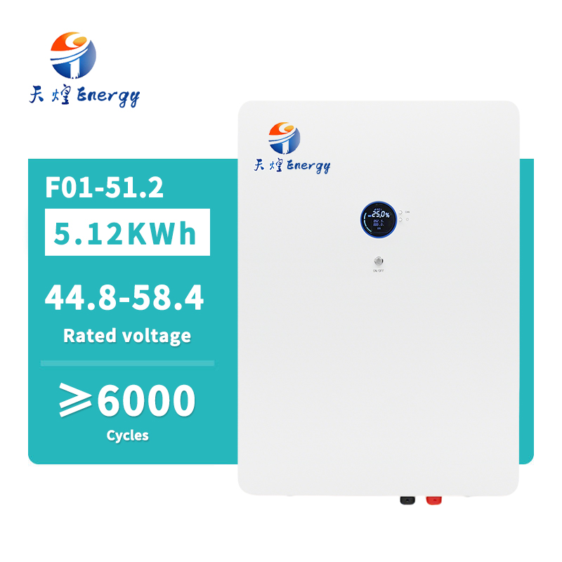 Solar Energy Storage Battery LiFePO4 100Ah/200Ah 5.12KWh/10.24KWh 51.2V Hybrid Grid Wall-Mounted CAN TIANHUANG THF01