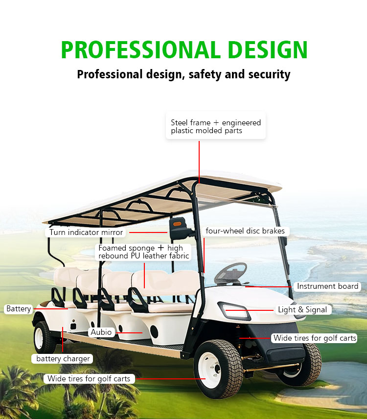 Golf Cart Display 2