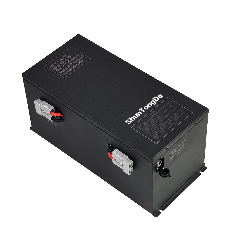 Customized 48v 60v 72v 40Ah 100Ah 200Ah Electric Moped Tricycle Lithium Battery 48Volt Electric Rickshaw Car Battery
