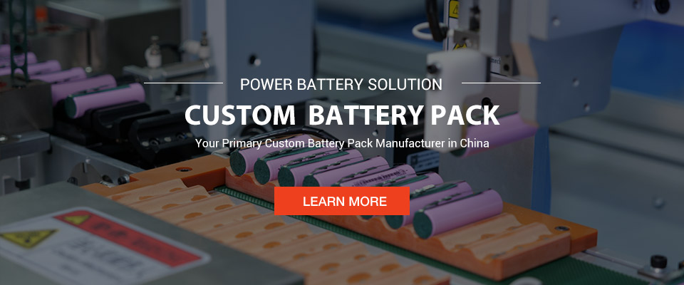 Custom Case Battery Pack 15