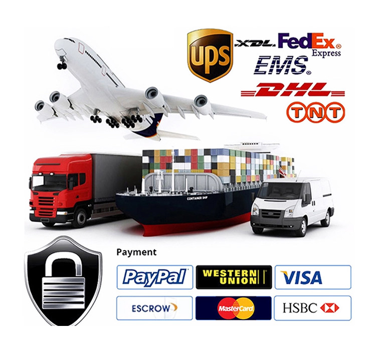 Shipping Logistics