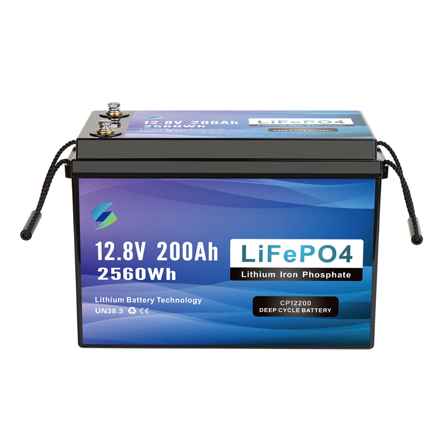 BMS Protect Safe 12 Volt Battery Pack Marine Rv Solar Deep Cycle Solar Battery 12v 200ah Lifepo4 Lithium Batteries