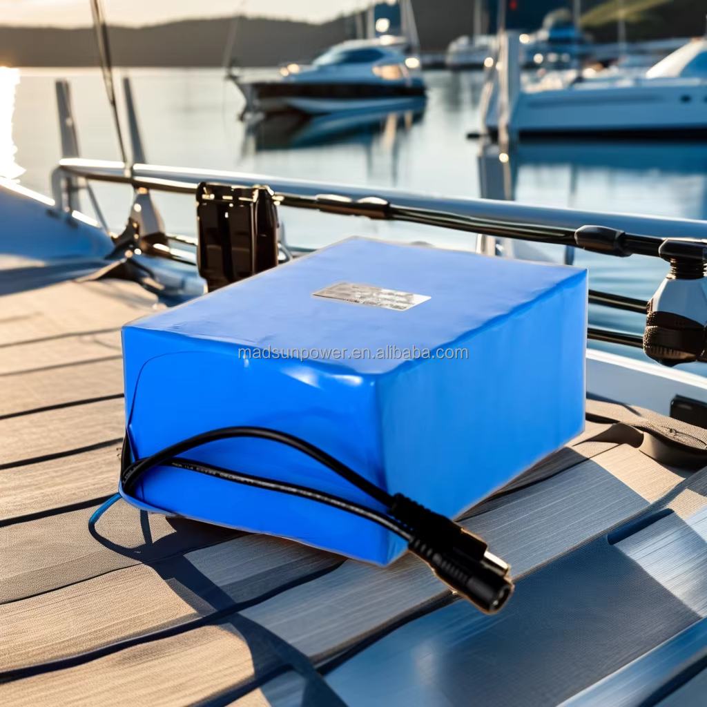 OEM Deep Cycle Solar Storage Lithium Ion Battery Pack for RV Marine &amp; Boat 12V 10Ah 20Ah 30Ah 50Ah 100Ah