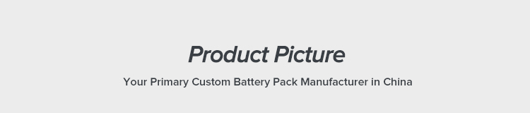 Customized Battery Pack 2