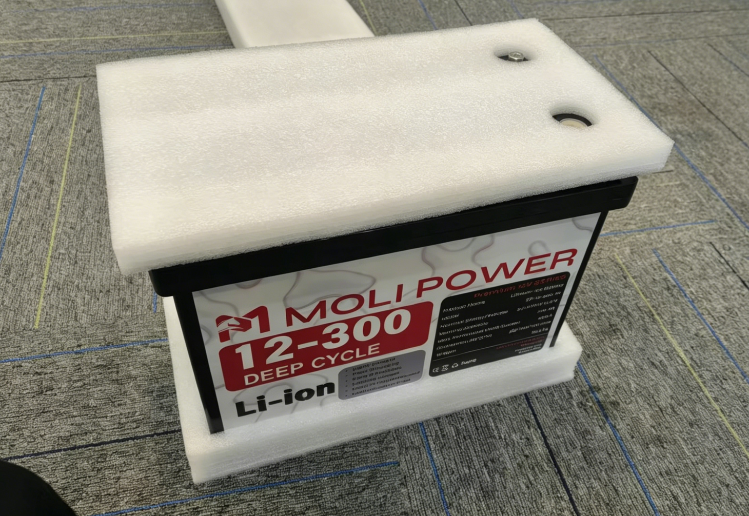 Molipower 12V 200Ah LiFePO4 Lithium Battery 6000 Cycles 5-Year Warranty Replacement Lead-acid Batteries Built-in BMS for RV