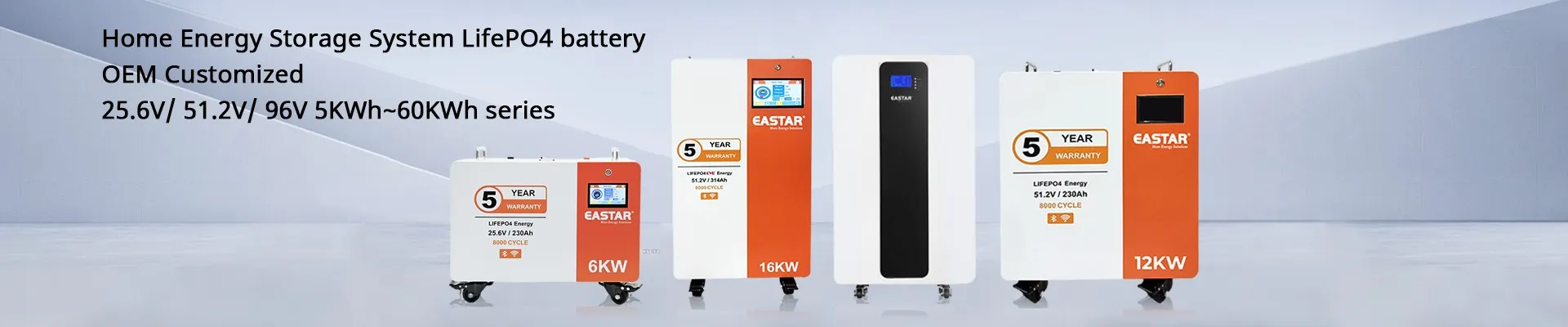 Lithium Ion Battery 48V LiFePO4 Energy Storage Battery