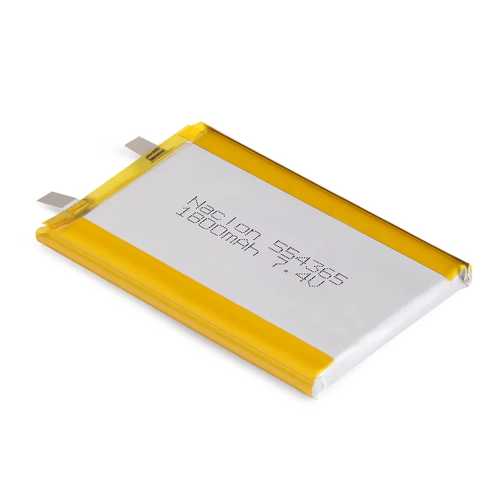 Lithium Polymer Battery 5
