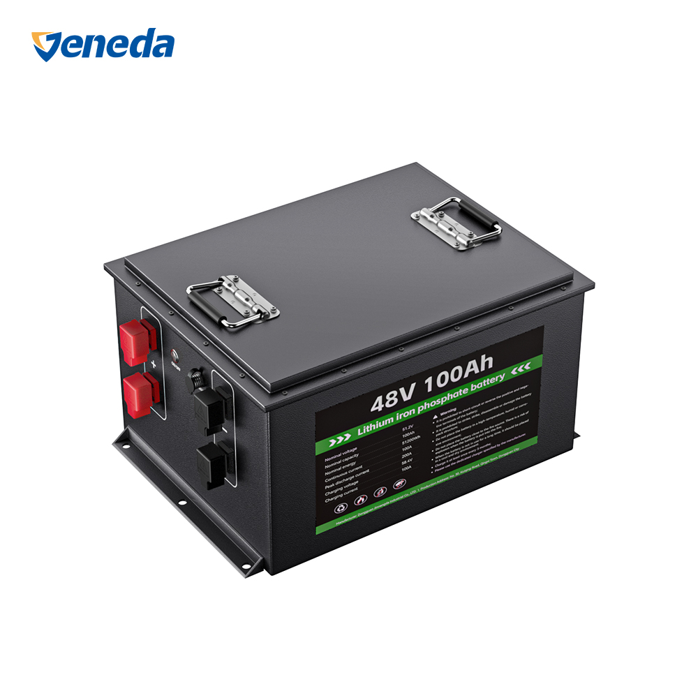 48V 100Ah LiFePO4 Lithium Battery Pack Deep Cycle Solar Energy Storage Battery for EV Marine UPS OEM ODM Factory