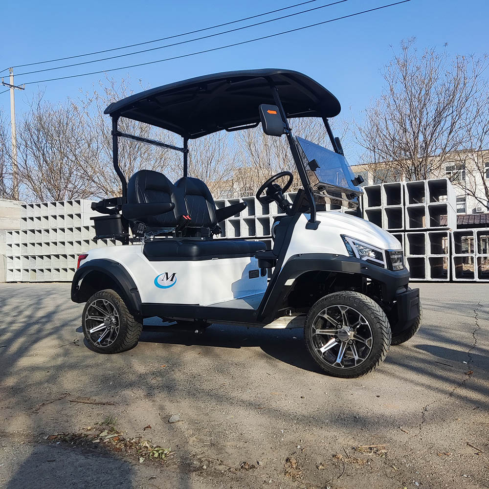 Golf Cart Front View