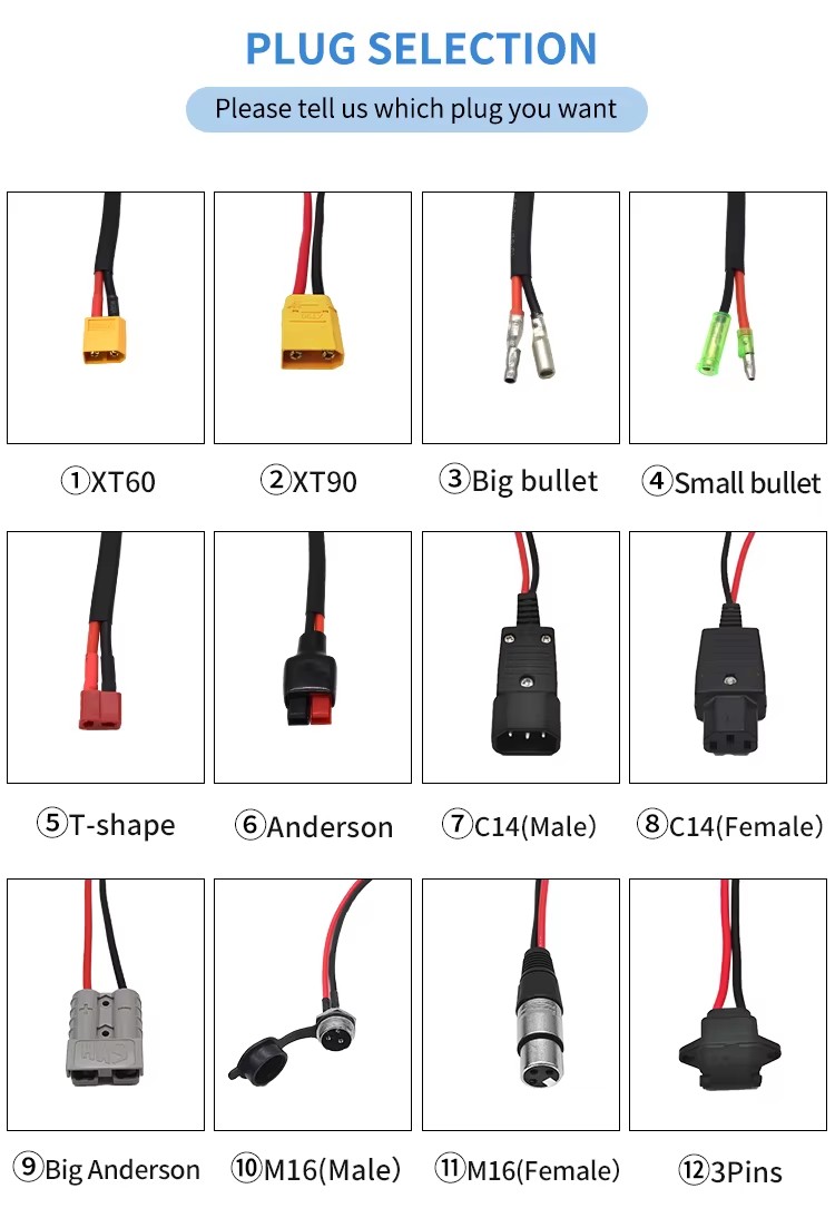 Custom Case Battery Pack 5