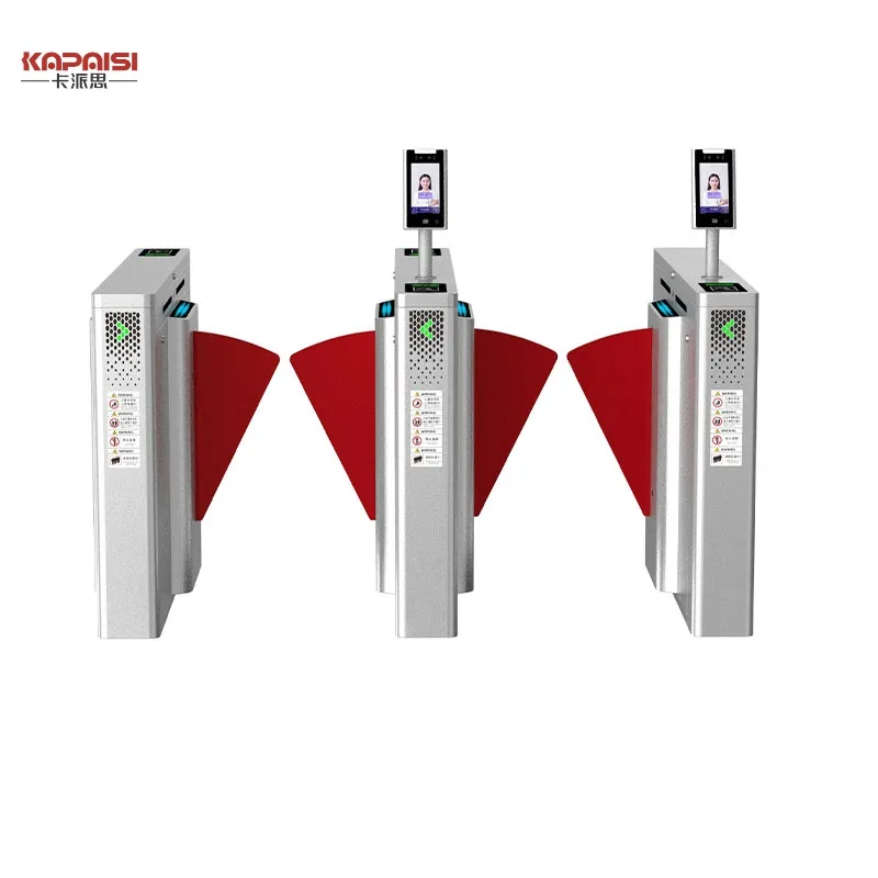 Electronic Security Gate 2