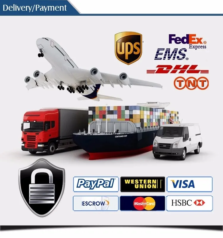 Shipping and Payment