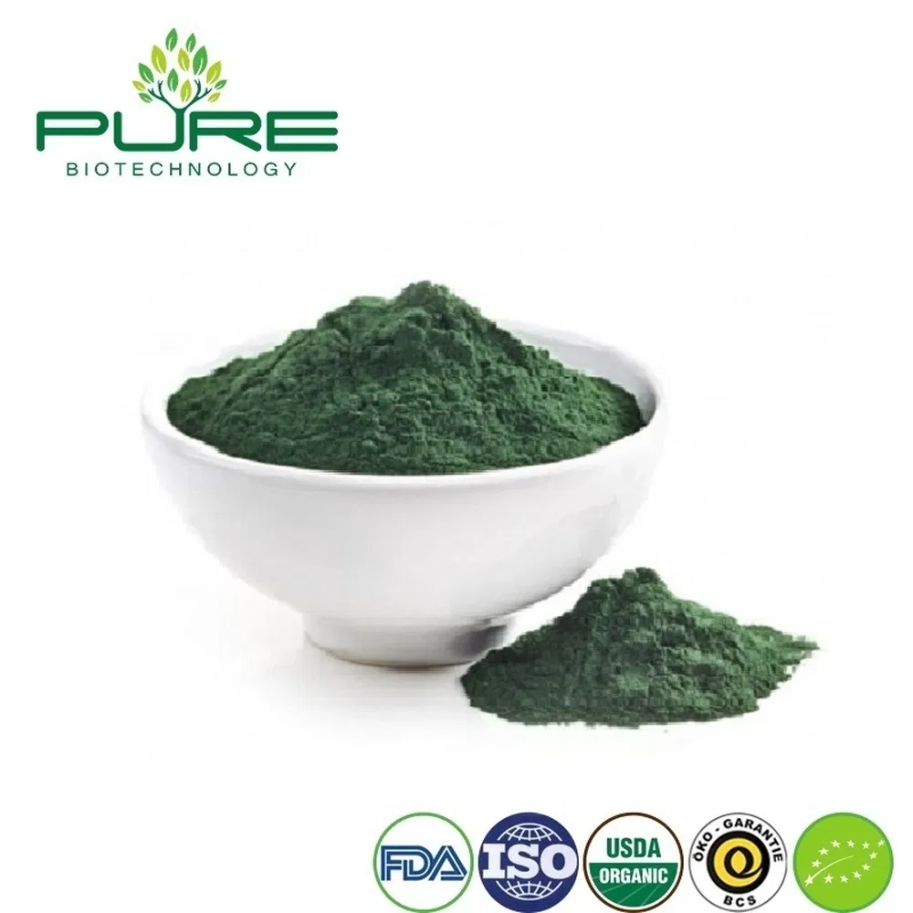 Premium Organic Spirulina Protein Powder for Smoothie Boost