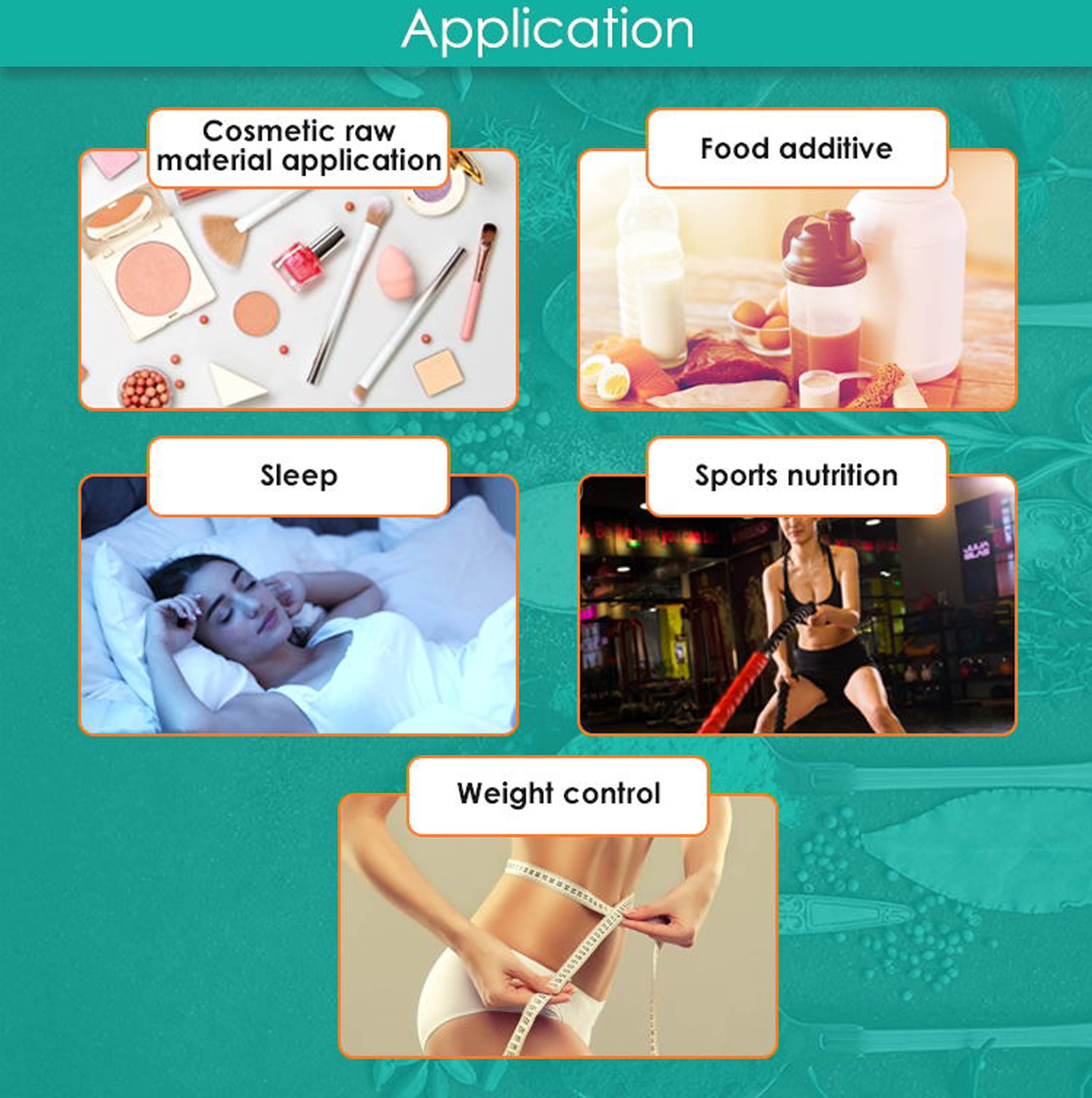 Application 2