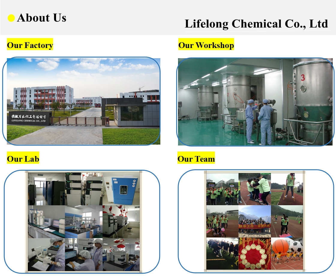 Factory Environment