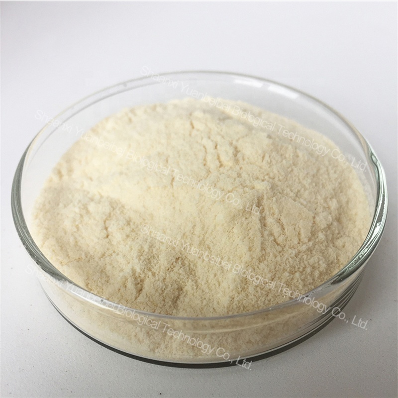 High Quality 80% Rice Protein Powder Bulk Pure Natural Oryza Sativa Rice Extract Powder
