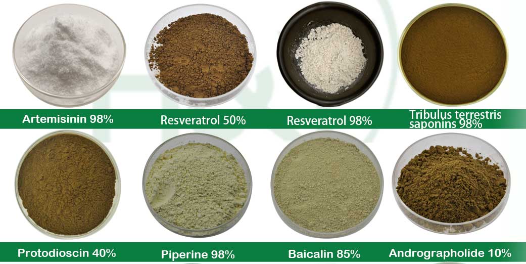 Product Options Set 2