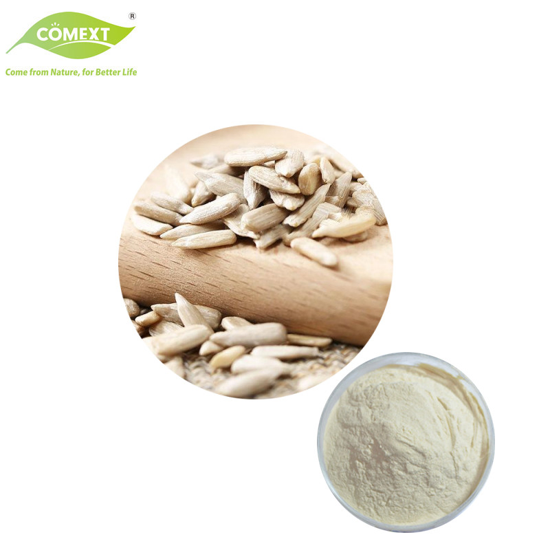 Comext Sunflower Seed Powder Food Ingredients Vegan Sunflower Seed Extract Sunflower Protein Powder