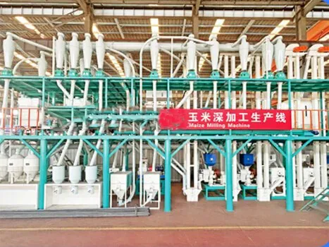 Corn Processing Line Case 1