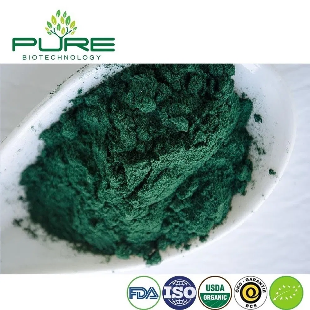 Organic Vegan Protein Powder with Spirulina for Enhanced Recovery