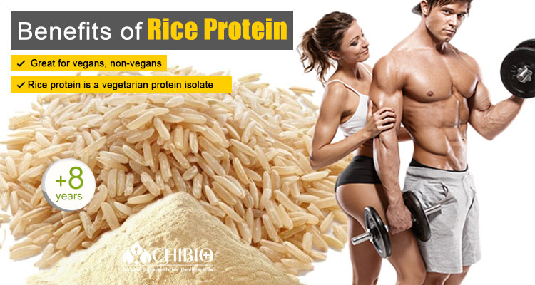 Rice Protein Details