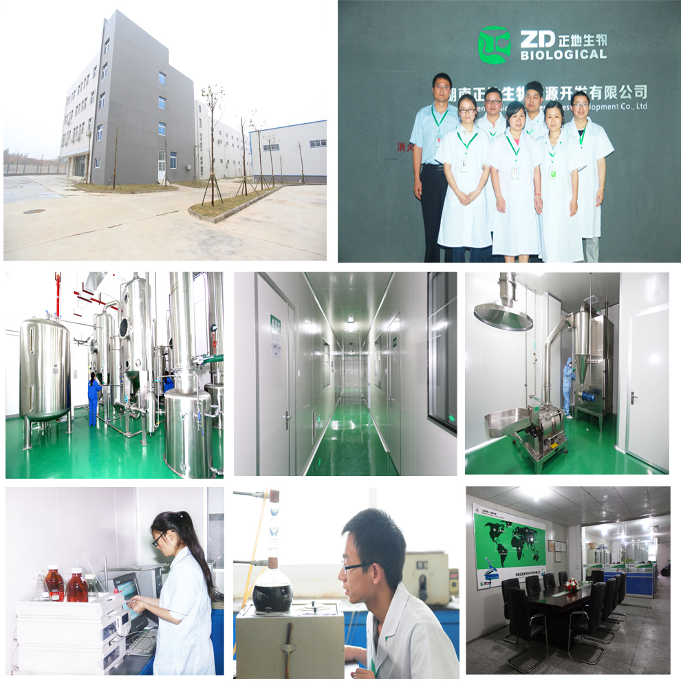 Laboratory testing
